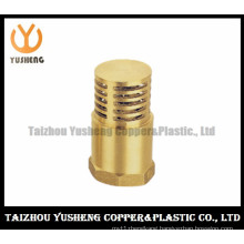 Foot Valve with Strainer/High Quality Brass Strainer Foot Valve (YS7007)